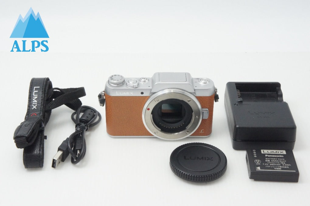 美品 | 別売り付属品付] Panasonic LUMIX DC-S9N-N ZLK 広角ズーム