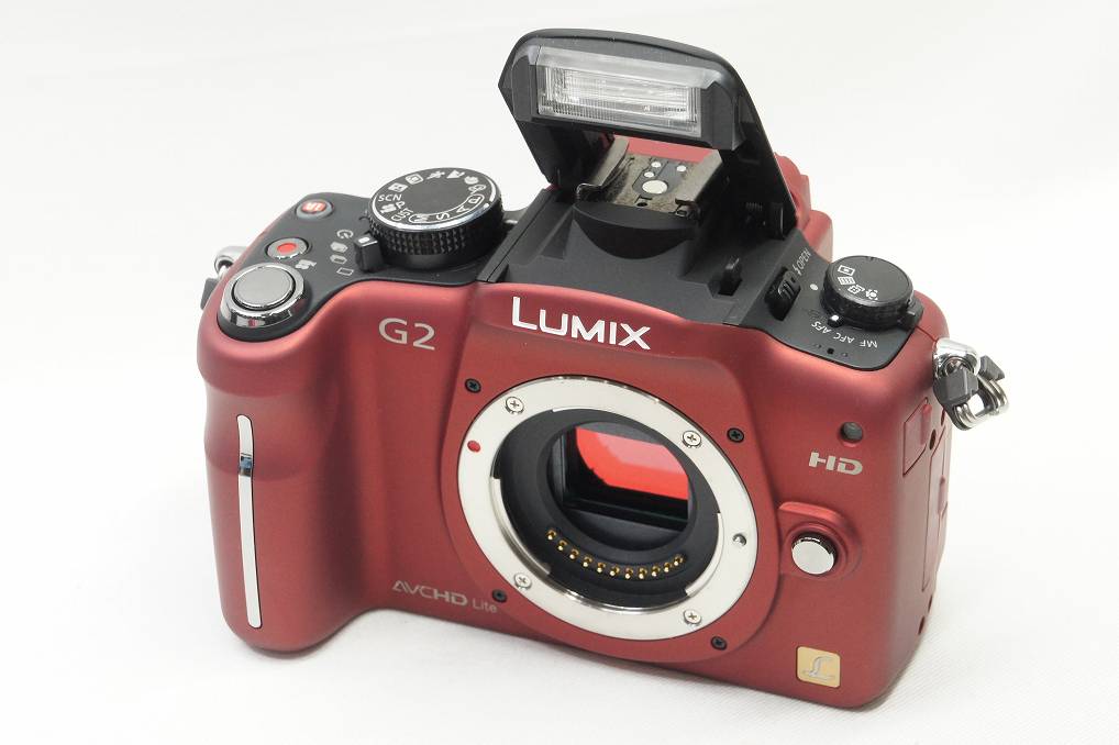 訳あり品 Panasonic パナソニック LUMIX DMC-G2 ボディ ミラー
