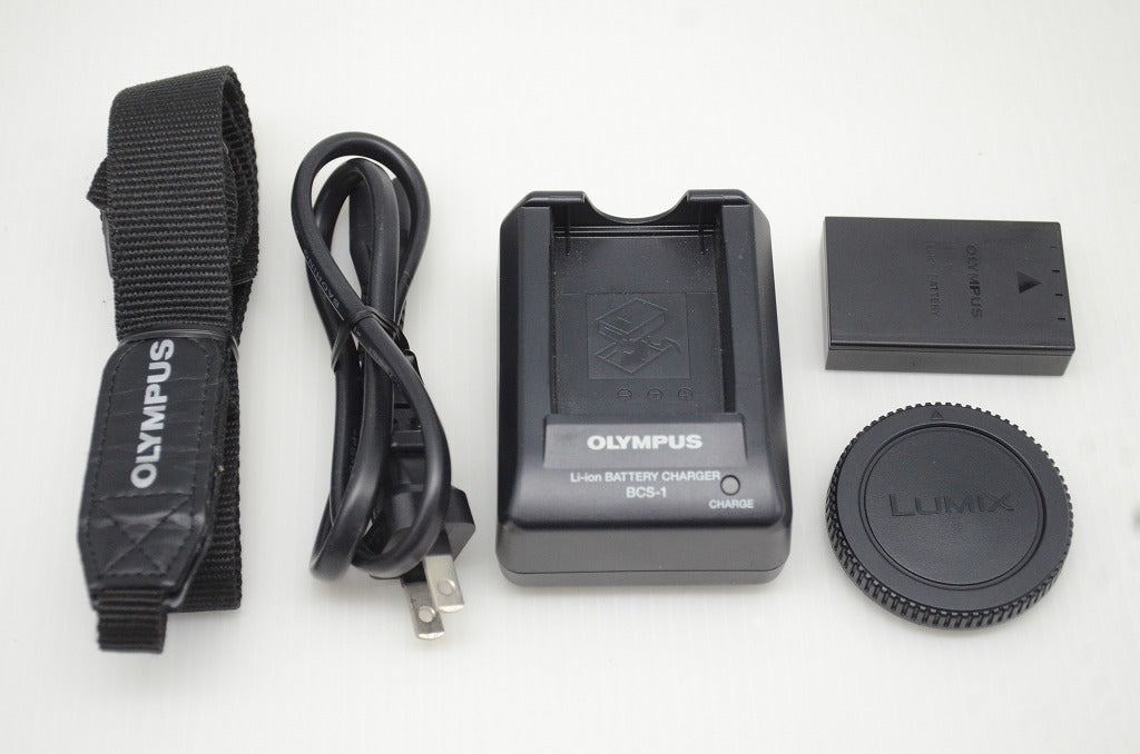 訳あり品 OLYMPUS オリンパス PEN E-P1 ボディ ミラーレス一眼カメラ シルバー 251113a