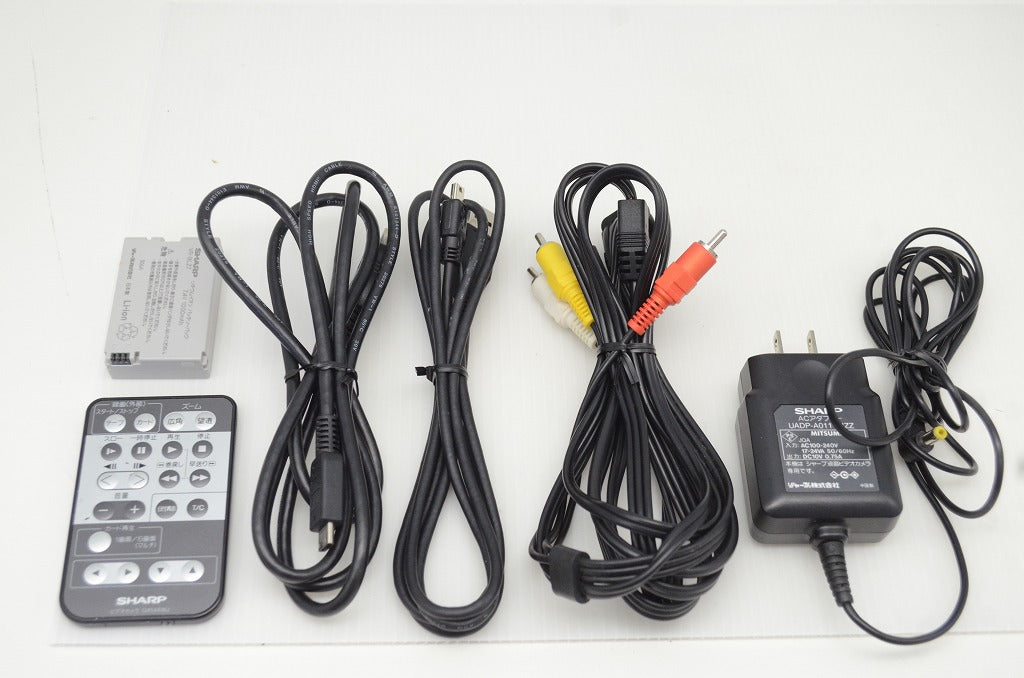 SHARP シャープ ViewcamZ VL-Z5 デジタルビデオカメラ シルバー 251119t