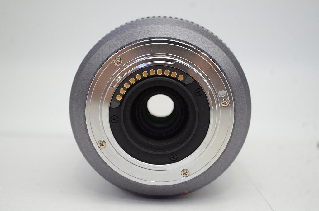 美品 Panasonic パナソニック LUMIX G VARIO 45-200mm F4-5.6 MEGA O.I.S. H-FS045200 マイクロフォーサーズ 250926e