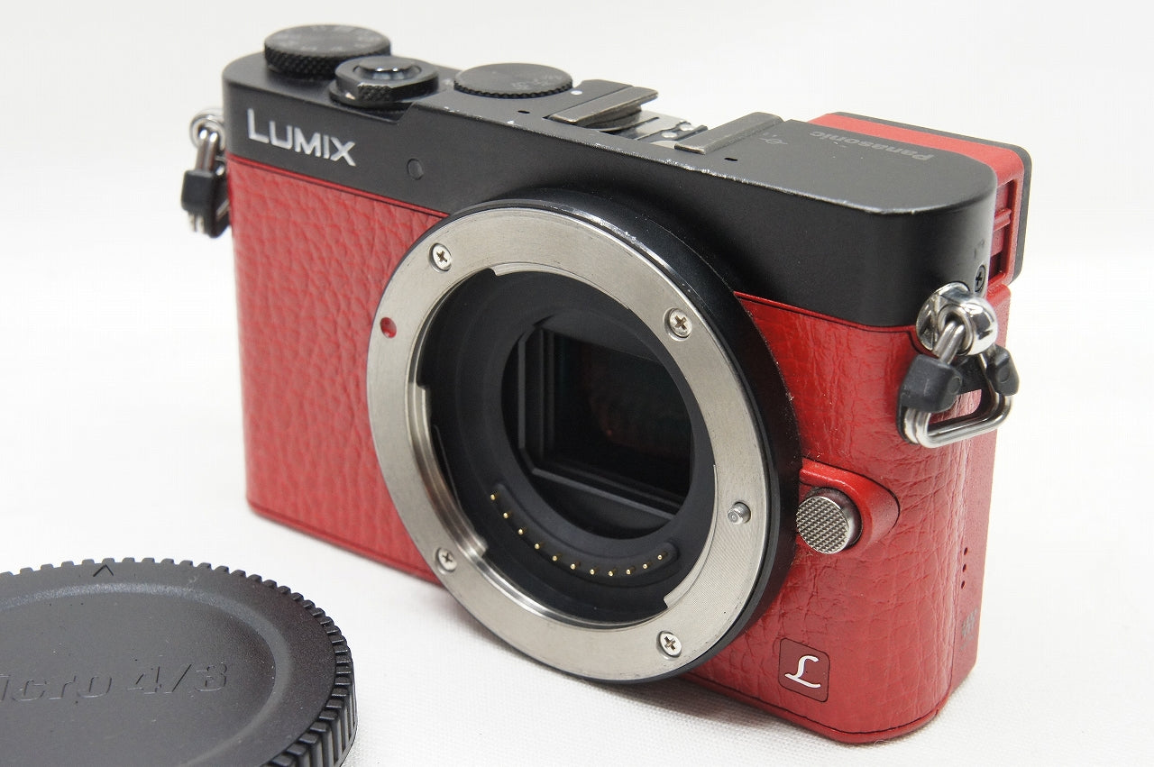 Panasonic