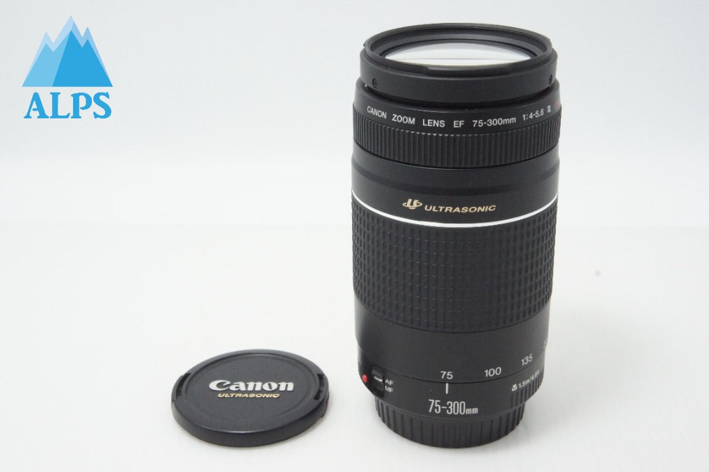 美品 Canon キヤノン EF 75-300mm F4-5.6 III USM フルサイズ ズームレンズ 260619ap
