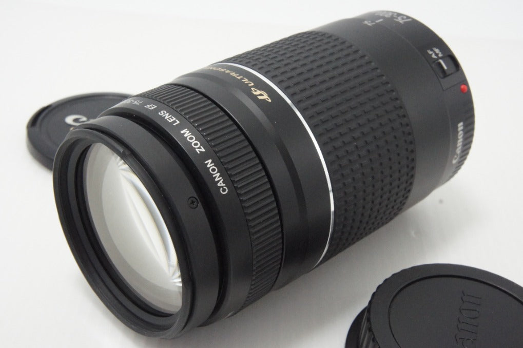 美品 Canon キヤノン EF 75-300mm F4-5.6 III USM フルサイズ ズームレンズ 260619ap