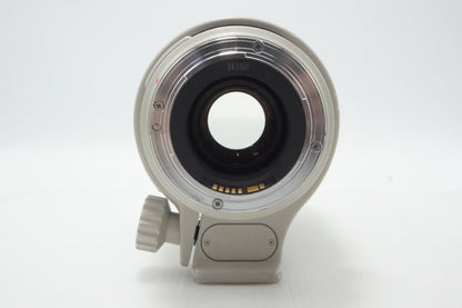 Canon キヤノン EF 35-350mm F3.5-5.6L USM フルサイズ ズームレンズ フード付 260624bp