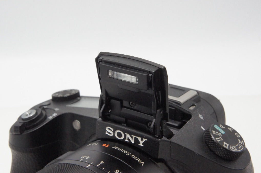 SONY ソニー Cyber-shot DSC-RX10 デジタルカメラ ブラック フード付 260619o