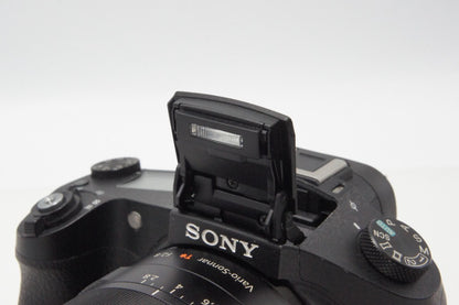 SONY ソニー Cyber-shot DSC-RX10 デジタルカメラ ブラック フード付 260619o