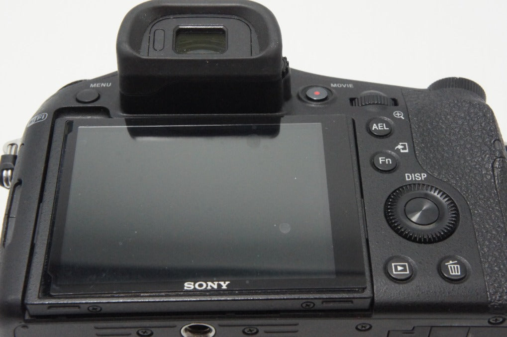 SONY ソニー Cyber-shot DSC-RX10 デジタルカメラ ブラック フード付 260619o