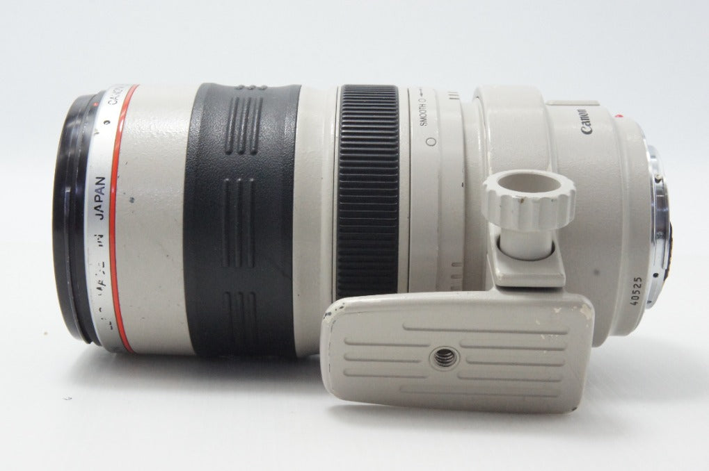 Canon キヤノン EF 35-350mm F3.5-5.6L USM フルサイズ ズームレンズ フード付 260624bp