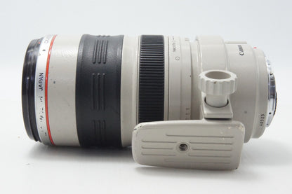 Canon キヤノン EF 35-350mm F3.5-5.6L USM フルサイズ ズームレンズ フード付 260624bp
