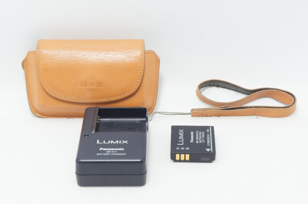 ⭐︎美品⭐︎Panasonic LUMIX DMC FX01 革ケース　動作確認済 カメラ ⭐︎美品⭐︎Panasonic LUMIX DMC FX01 革ケース 動作確認済