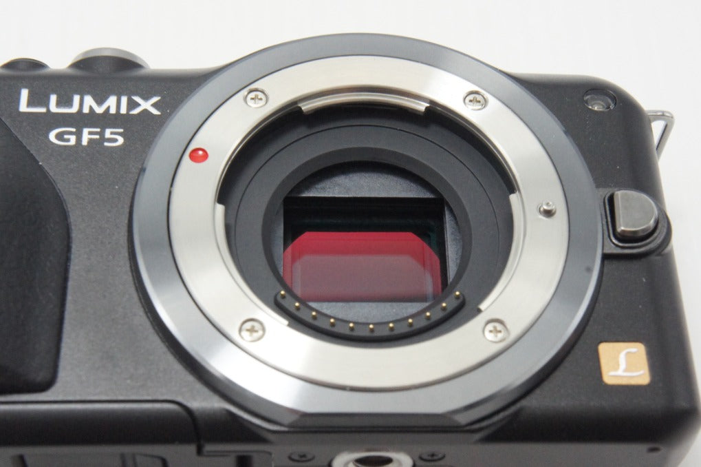 さ*中様 Panasonic DMC-GF5 一眼レフカメラ 良品 Panasonic パナソニック LUMIX DMC-GF5 ボディ ミラーレス一眼
