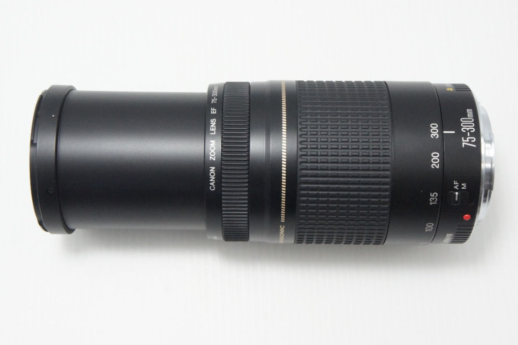訳あり品 Canon キヤノン EF 75-300mm F4-5.6 II USM フルサイズ ズームレンズ 260702f