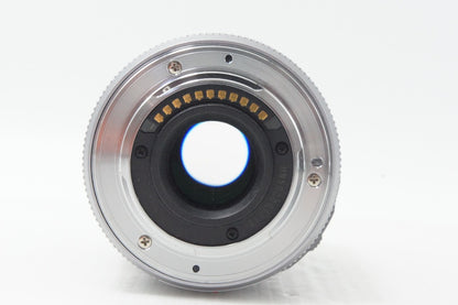 良品 Panasonic パナソニック LUMIX G X VARIO PZ 45-175mm F4.0-5.6 ASPH. POWER O.I.S. H-PS45175 ポーチ付 260702i