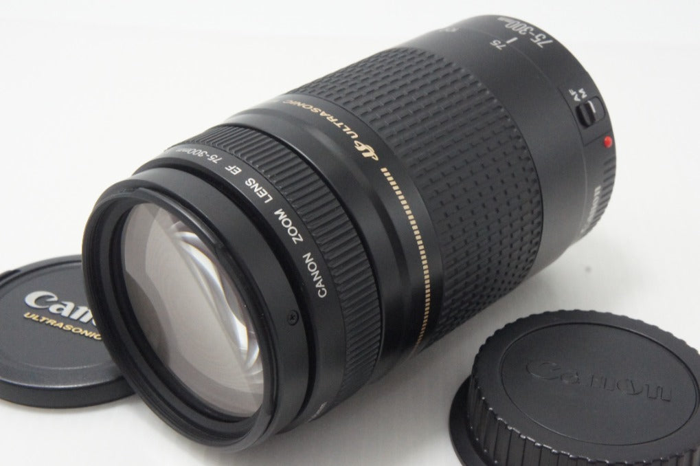 Canon キヤノン EF 75-300mm F4-5.6 II USM フルサイズ ズームレンズ