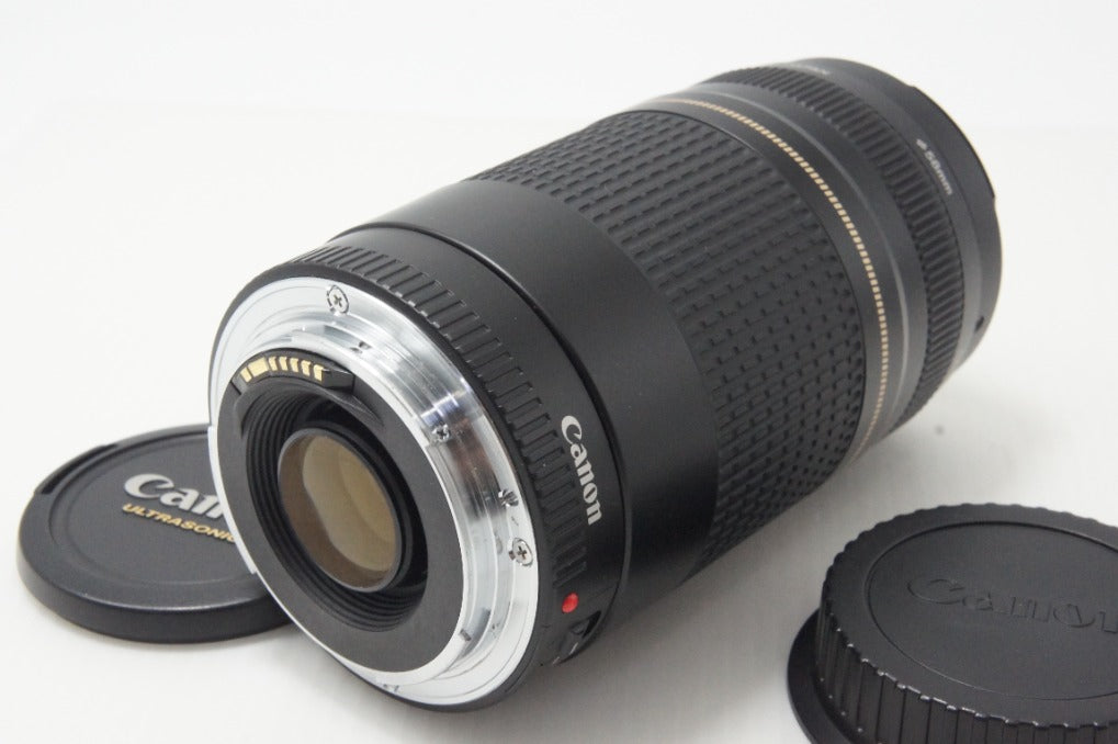 7月7日限定価格【超望遠レンズ】Canon EF 75-300mm USM Amazon.co.jp