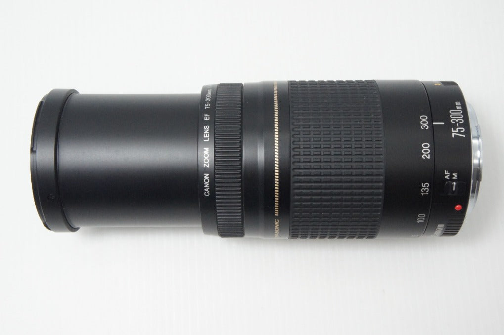 Canon キヤノン EF 75-300mm F4-5.6 II USM フルサイズ ズームレンズ