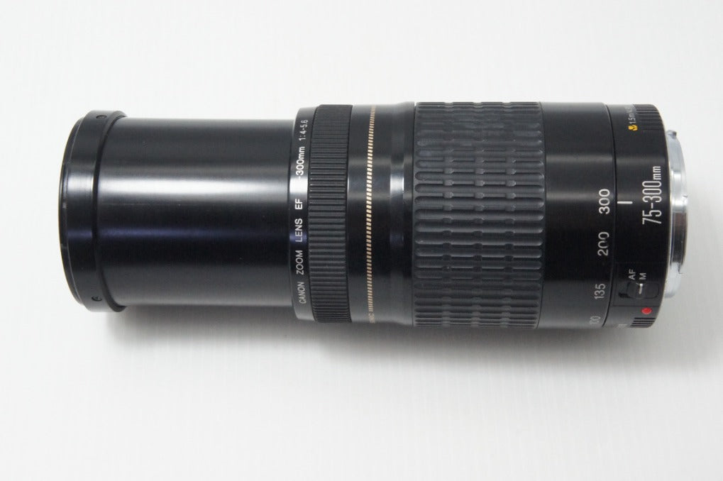 訳あり品 Canon キヤノン EF 75-300mm F4-5.6 USM フルサイズ ズームレンズ フード付 260703v