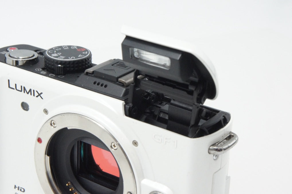 良品 Panasonic パナソニック LUMIX DMC-GF1 ボディ ミラーレス一眼