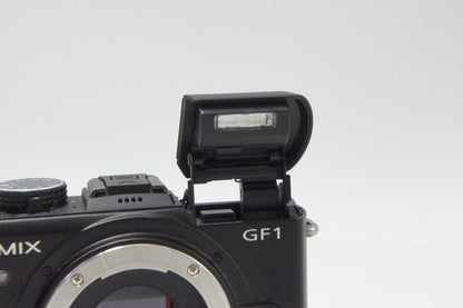 良品 Panasonic パナソニック LUMIX DMC-GF1 ボディ ミラーレス一眼カメラ ブラック 260723i