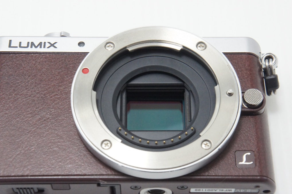 美品 Panasonic パナソニック LUMIX DMC-GM1S ボディ ミラーレス一眼