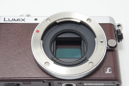 美品 Panasonic パナソニック LUMIX DMC-GM1S ボディ ミラーレス一眼カメラ ブラウン 260723l