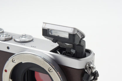 美品 Panasonic パナソニック LUMIX DMC-GM1S ボディ ミラーレス一眼カメラ ブラウン 260723l
