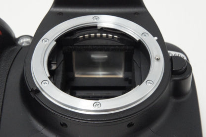 Nikon ニコン D40X ボディ デジタル一眼レフカメラ 260728w