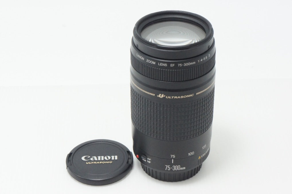 Canon キヤノン EF 75-300mm F4-5.6 II USM フルサイズ ズームレンズ 260820a