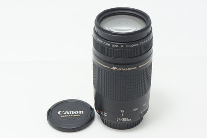 Canon キヤノン EF 75-300mm F4-5.6 II USM フルサイズ ズームレンズ 260820a