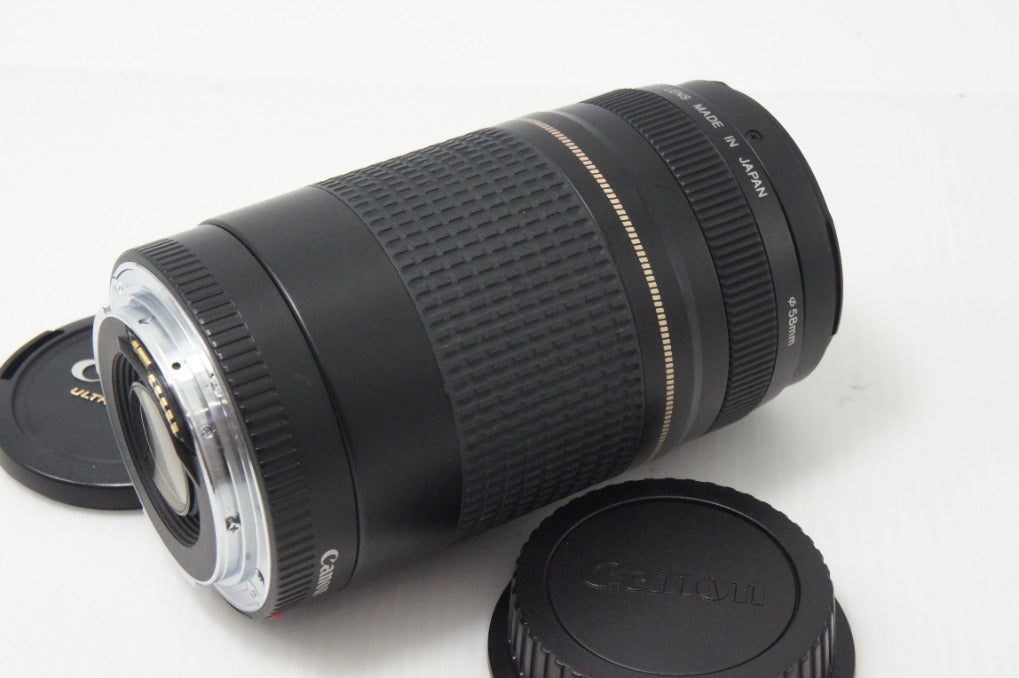 Canon キヤノン EF 75-300mm F4-5.6 II USM フルサイズ ズームレンズ 260820a