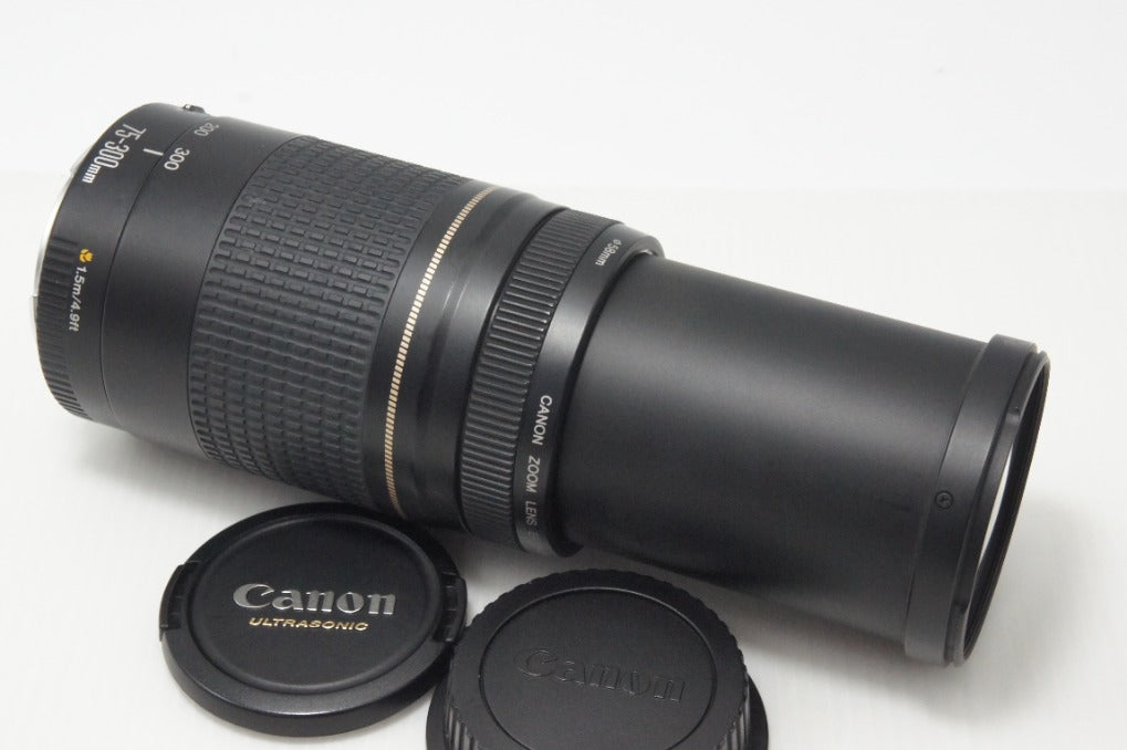 Canon キヤノン EF 75-300mm F4-5.6 II USM フルサイズ ズームレンズ 260820a