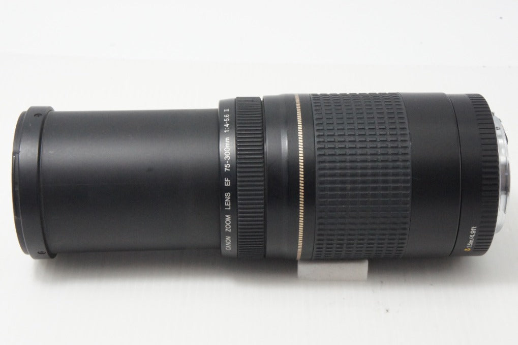 Canon キヤノン EF 75-300mm F4-5.6 II USM フルサイズ ズームレンズ 260820a