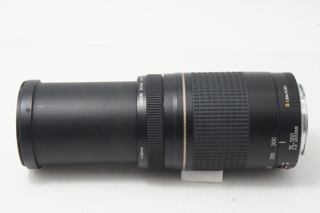 Canon キヤノン EF 75-300mm F4-5.6 II USM フルサイズ ズームレンズ 260820a