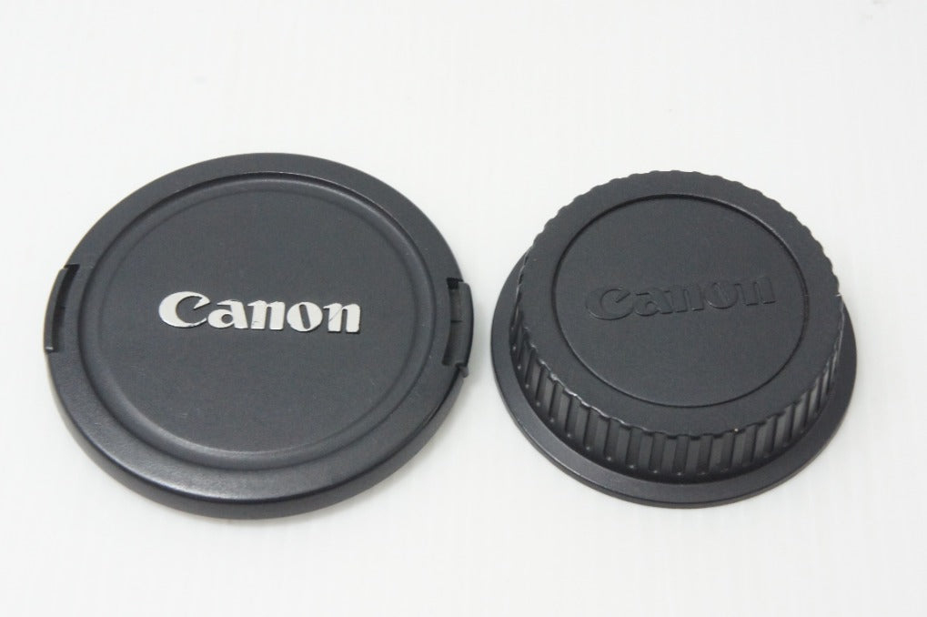 Canon キヤノン TS-E 24mm F3.5L EFマウント ブラック フルサイズ 260825d