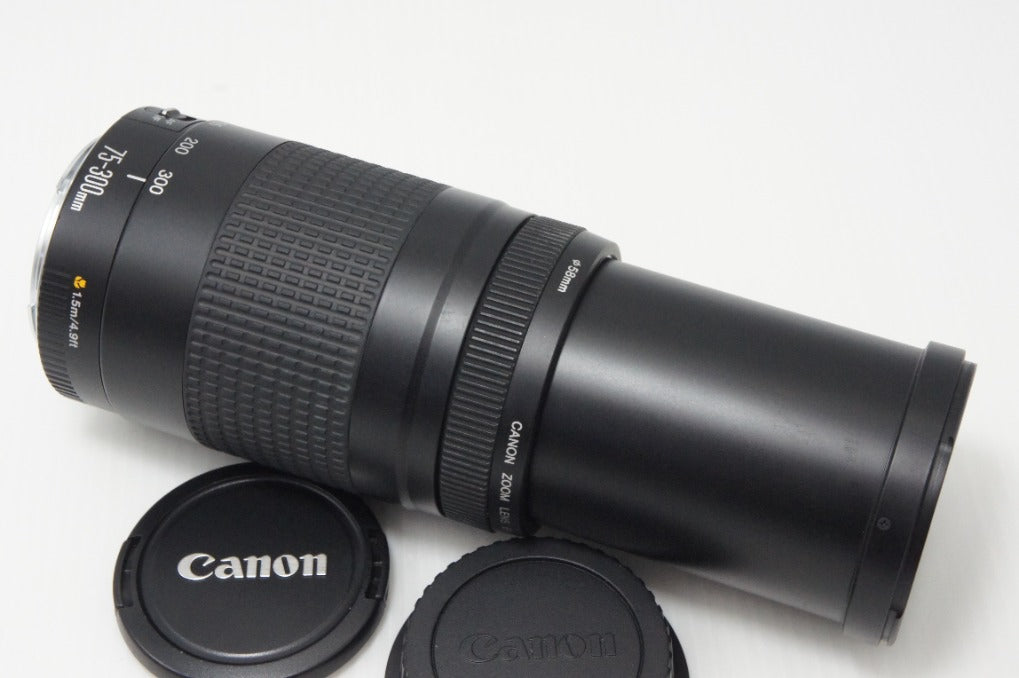良品 Canon キヤノン EF 75-300mm F4-5.6 II フルサイズ ズームレンズ 260828f