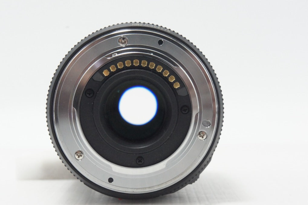 美品 Panasonic LUMIX G X VARIO PZ 45-175mm F4.0-5.6 ASPH. POWER O.I.S. H-PS45175 マイクロフォーサーズ フード付 260912g