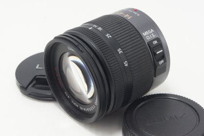Panasonic パナソニック LUMIX G VARIO 14-45mm F3.5-5.6 ASPH. MEGA O.I.S. H-FS014045 AFレンズ マイクロフォーサーズ 261001m