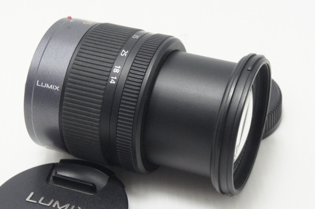 Panasonic パナソニック LUMIX G VARIO 14-45mm F3.5-5.6 ASPH. MEGA O.I.S. H-FS014045 AFレンズ マイクロフォーサーズ 261001m
