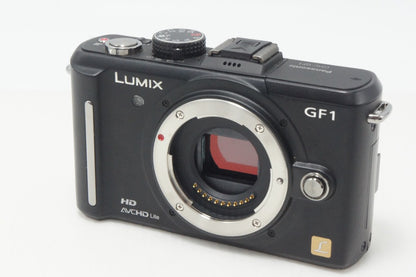 美品 Panasonic パナソニック LUMIX DMC-GF1 ボディ ミラーレス一眼カメラ エスプリブラック ケース付 261005t