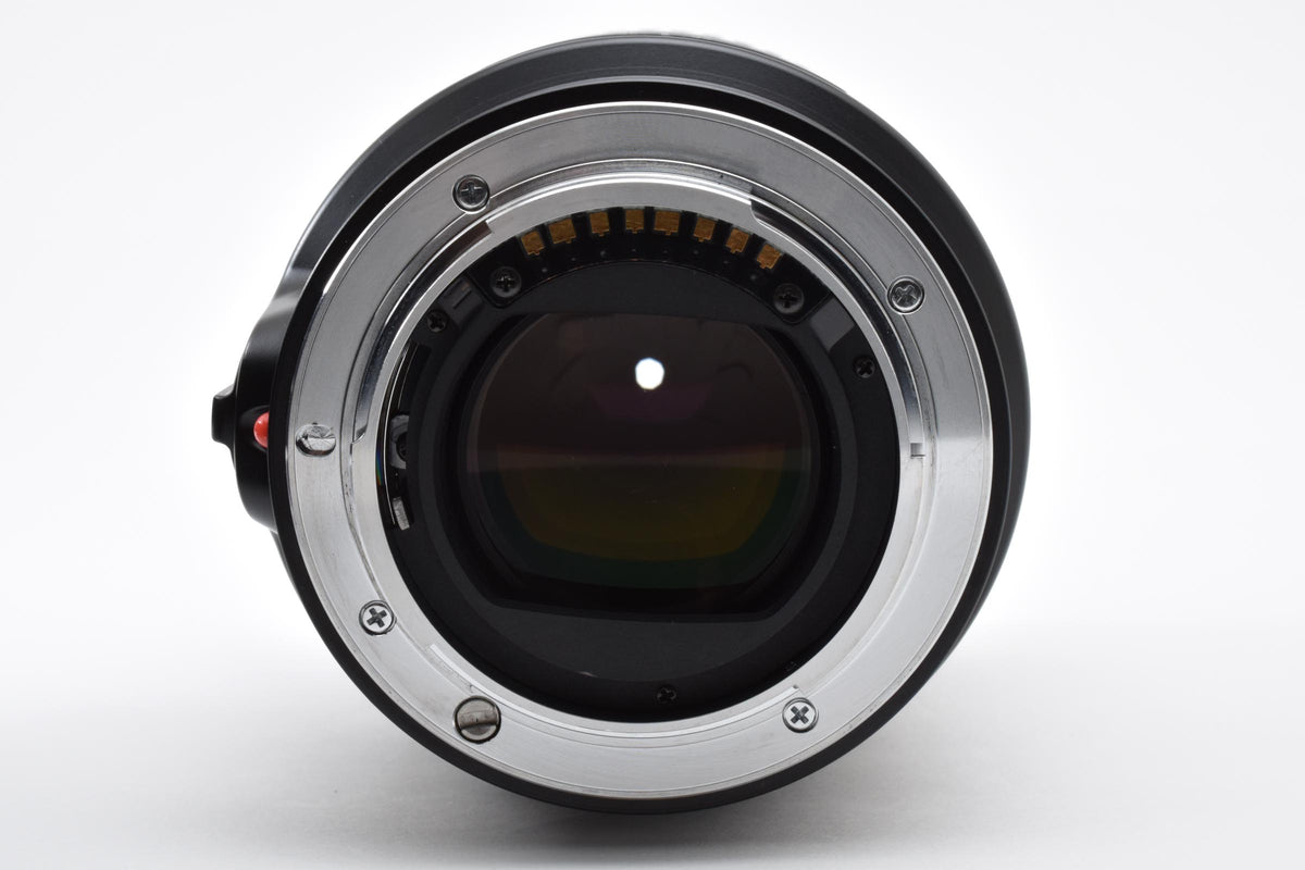 良品 MINOLTA ミノルタ AF 100mm F2.8 D MACRO AFレンズ SONY ソニー αマウント フード付 260918i