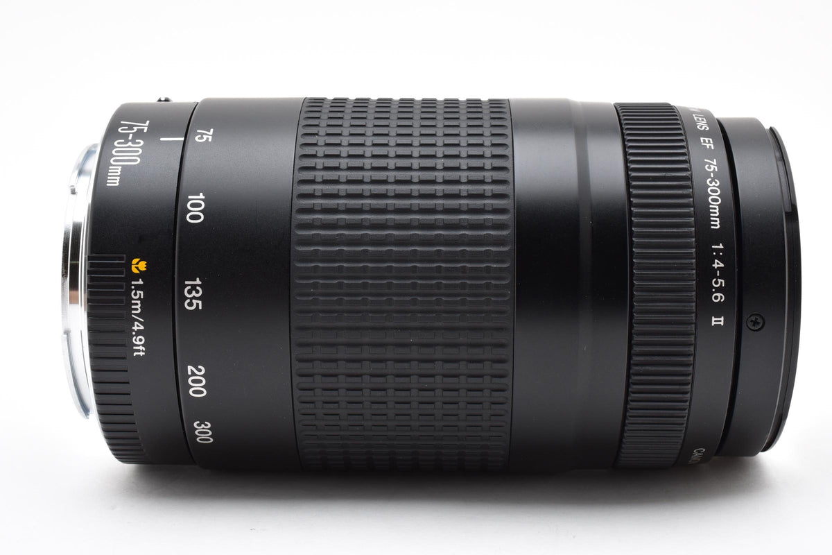 Canon キヤノン EF 75-300mm F4-5.6 II AFレンズ 260924e