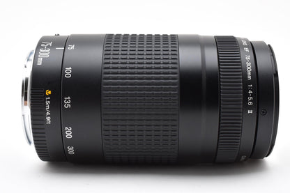 Canon キヤノン EF 75-300mm F4-5.6 II AFレンズ 260924e