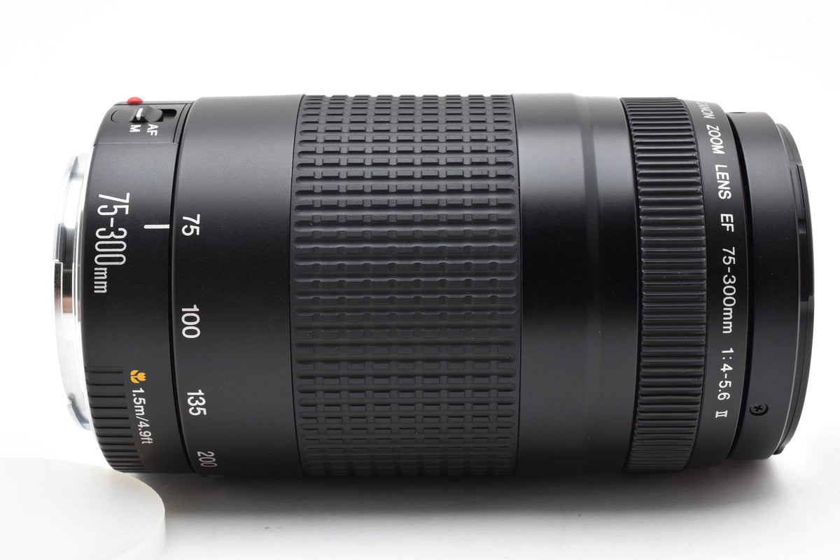 Canon キヤノン EF 75-300mm F4-5.6 II AFレンズ 260924e