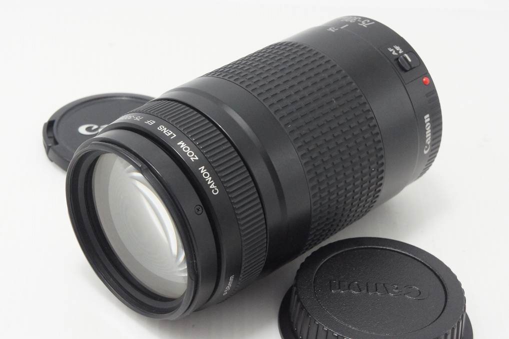 Canon キヤノン EF 75-300mm F4-5.6 II フルサイズ ズームレンズ