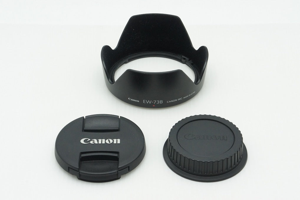 美品 Canon キヤノン EF-S 18-135mm F3.5-5.6 IS STM APS-C ズームレンズ フード付 260213i