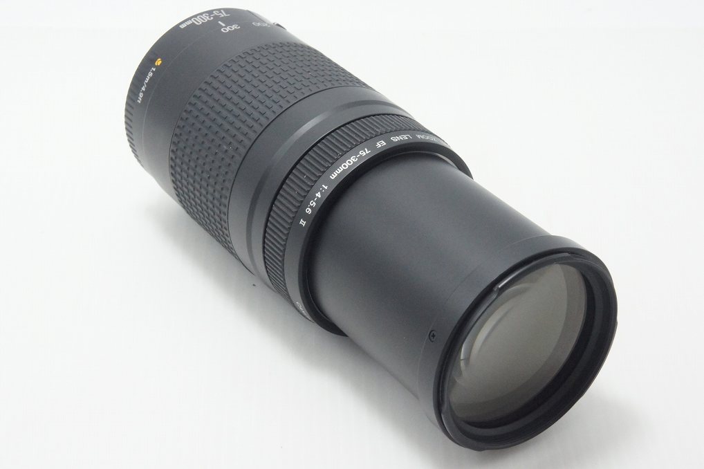 Canon キヤノン EF 75-300mm F4-5.6 II フルサイズ ズームレンズ 260910a