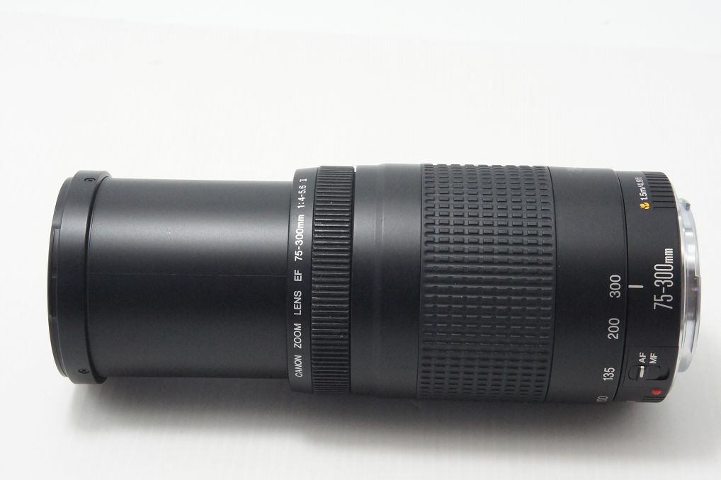 Canon キヤノン EF 75-300mm F4-5.6 II フルサイズ ズームレンズ