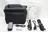 美品 SONY ソニー Handycam HDR-GWP88V デジタルビデオカメラ ケース付 250604ab