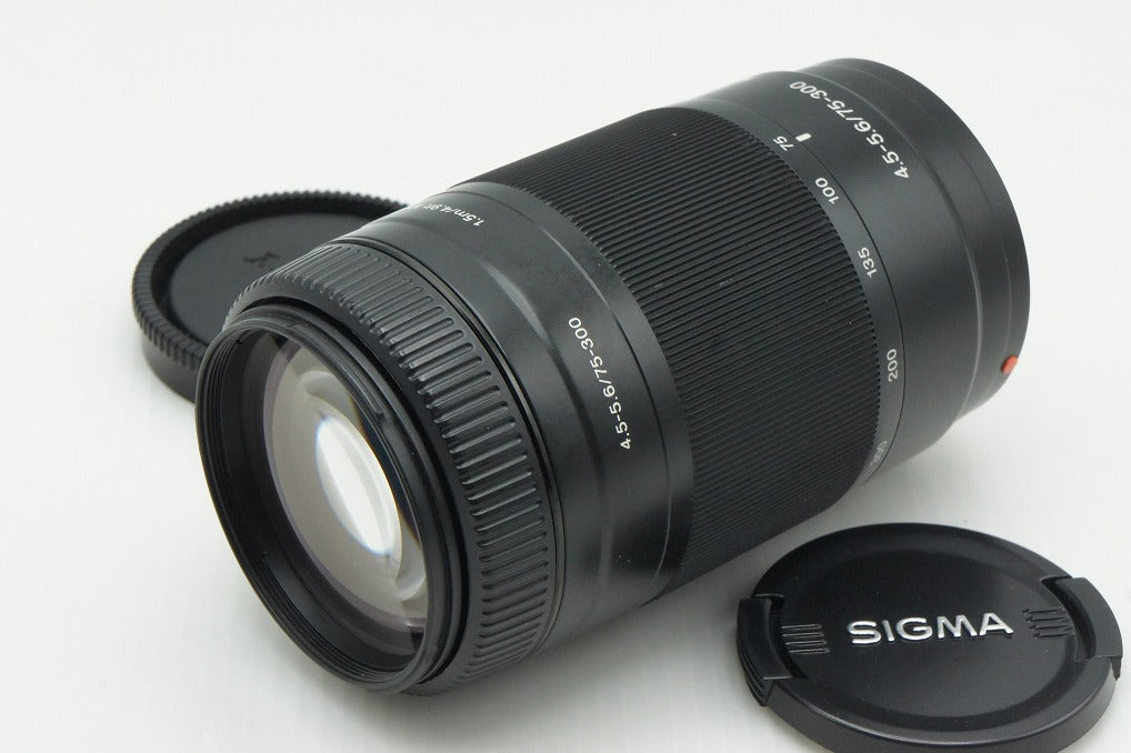 SONY ソニー AF 75-300mm F4.5-5.6 SAL75300 MINOLTA ミノルタ αマウント ズームレンズ 260227q